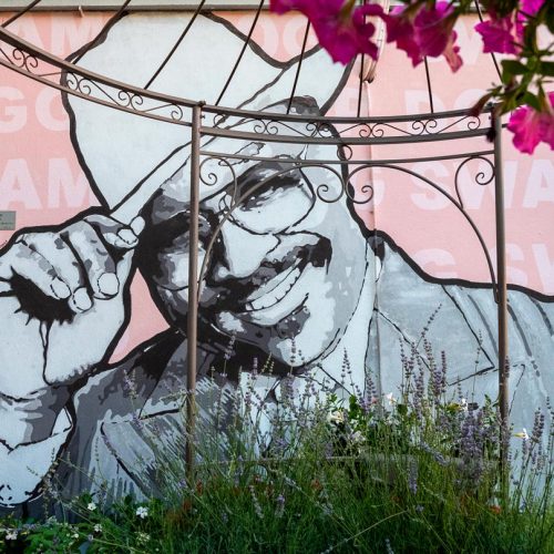 Murale #9 Swamp Dogg